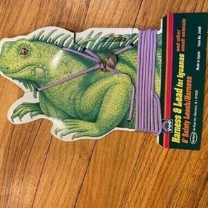 Reptile Iguana Nylon Lead W/ Harness 3/24"X6 feet Japanese Made Washable Purple